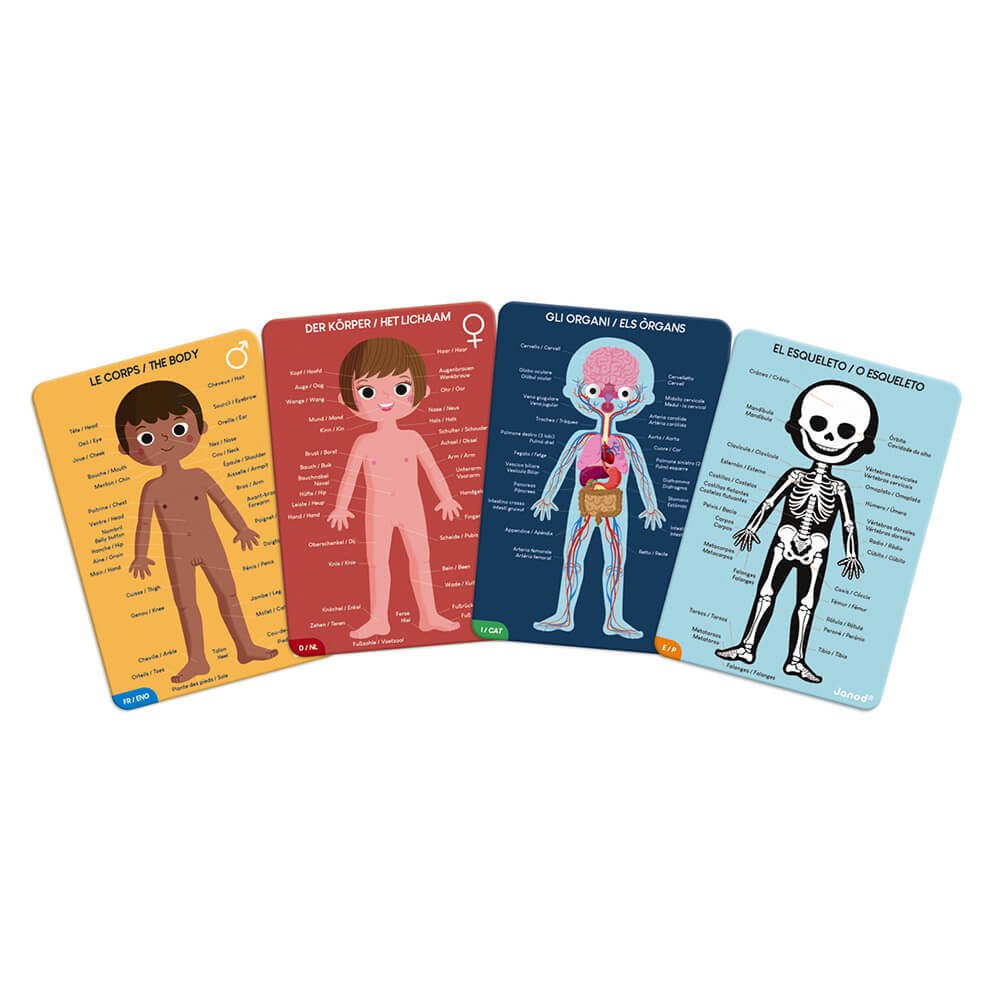 PUZLE EDUCATIVO CUERPO HUMANO - Imagen 6