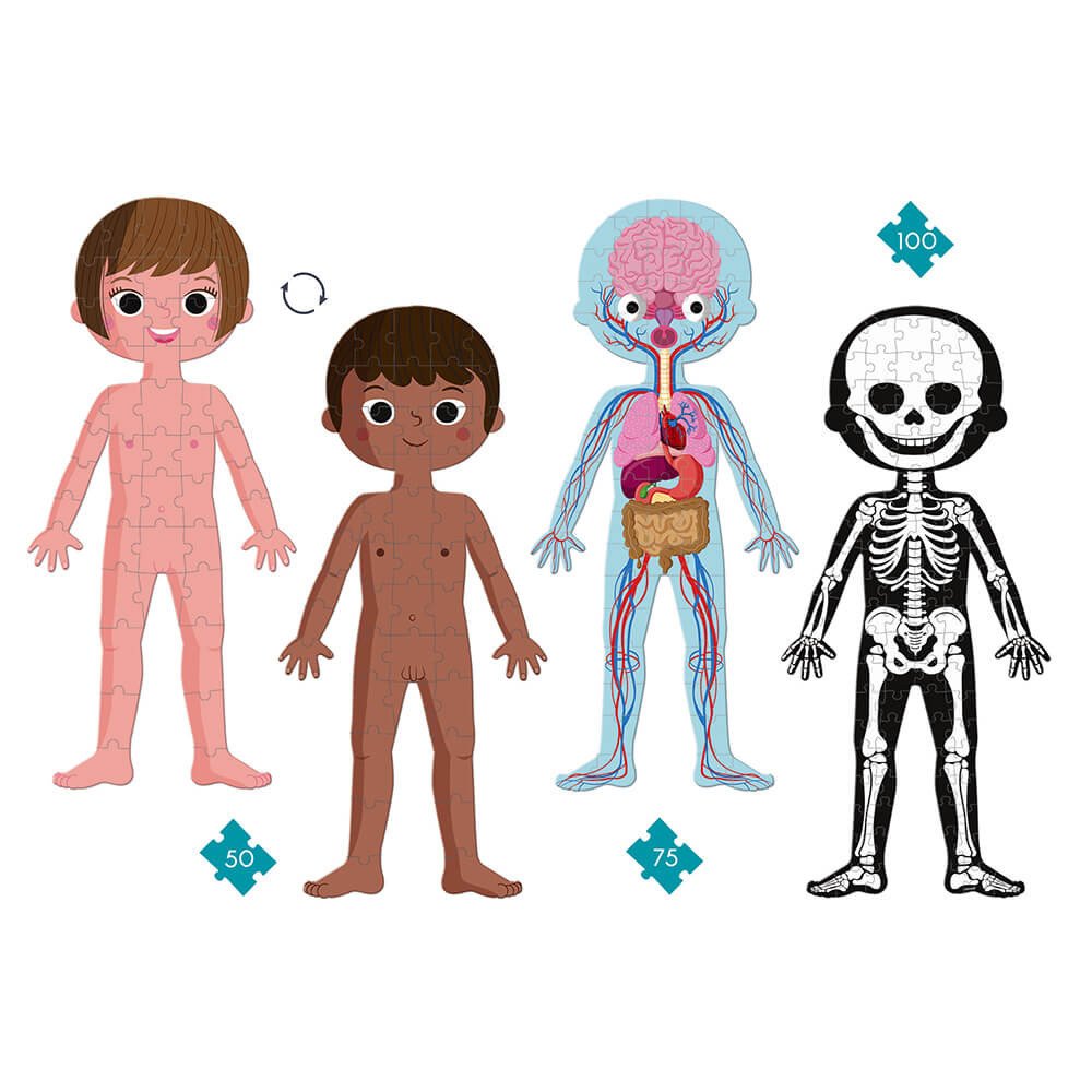 PUZLE EDUCATIVO CUERPO HUMANO - Imagen 7