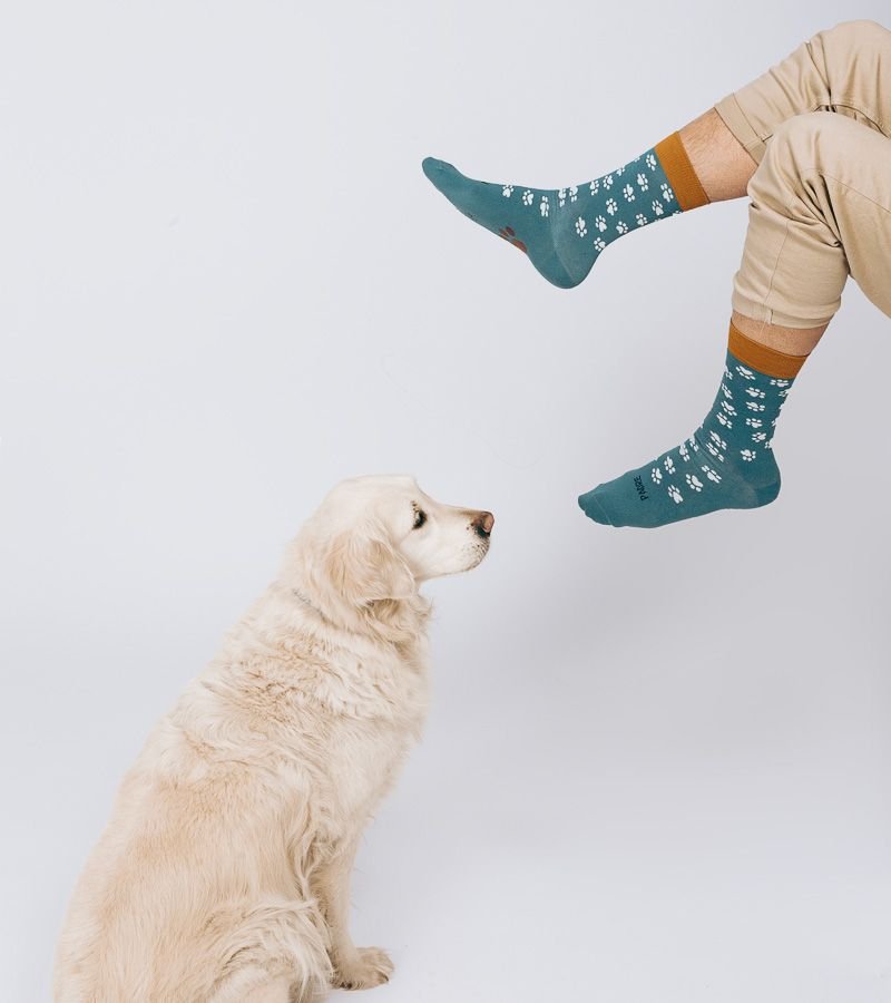 CALCETINES "PADRE DE MASCOTAS" - LOW IMPACT - Imagen 5
