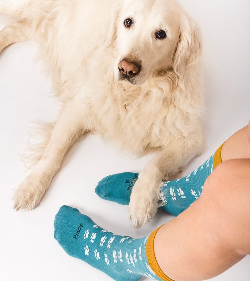 CALCETINES "PADRE DE MASCOTAS" - LOW IMPACT - Imagen 6