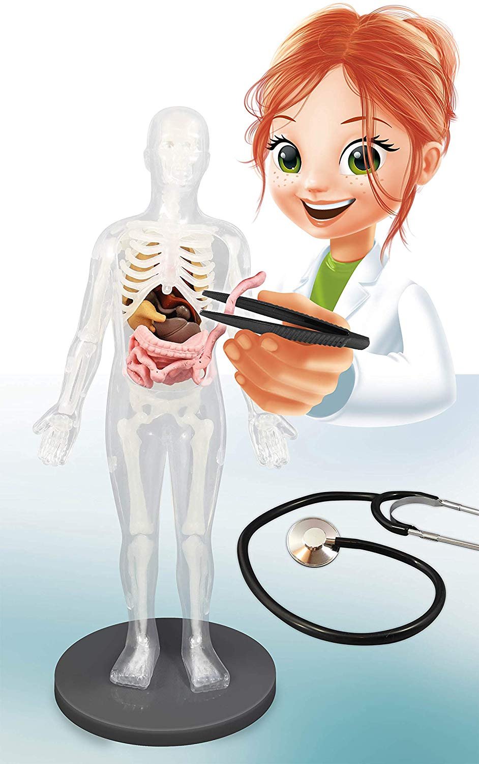 Buki BU2163 – Cuerpo Humano - Imagen 4