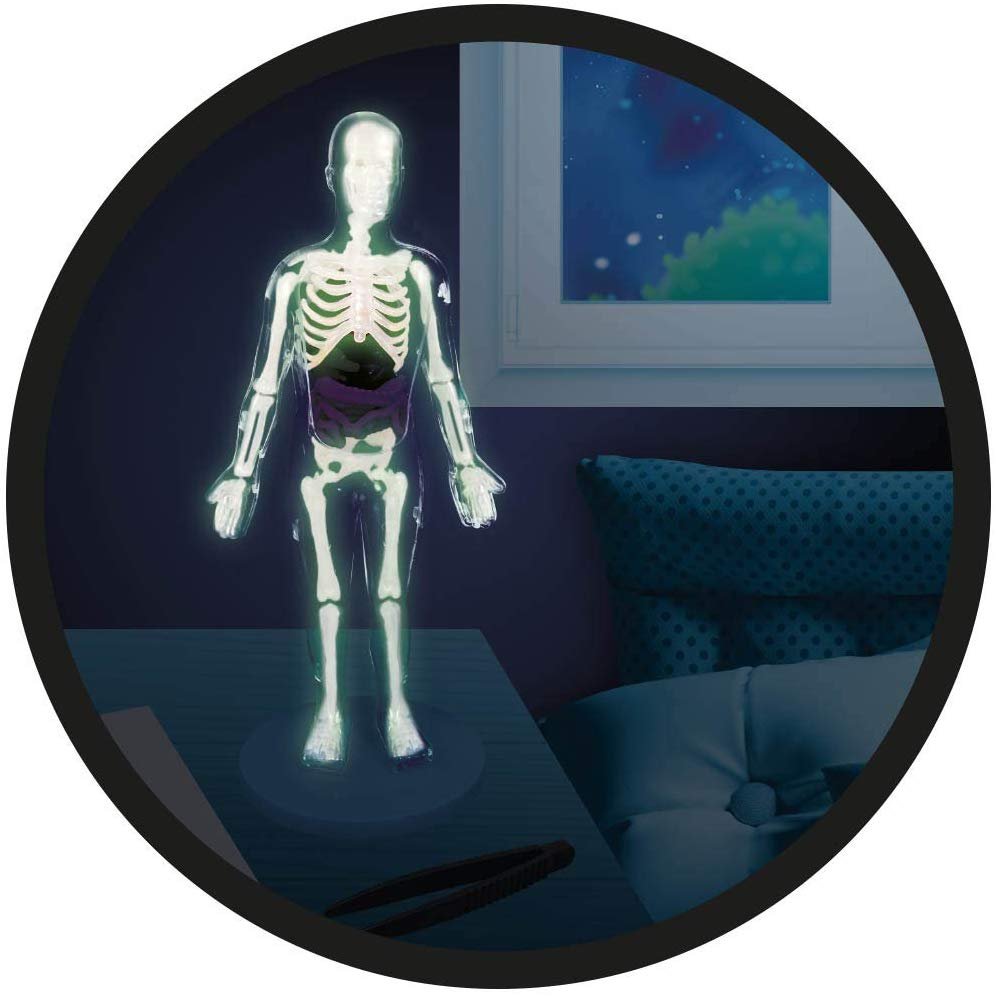 Buki BU2163 – Cuerpo Humano - Imagen 5