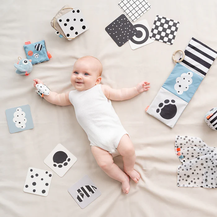 Cartas contraste bebes - 10 unidades - Deer friends - Mezcla color - Imagen 5